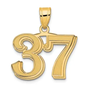 14k Yellow Gold Polished Etched Finish Number 37 Charm Pendant