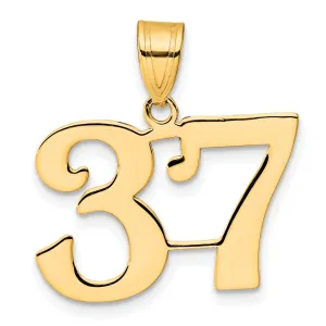 14k Yellow Gold Polished Finish Number 37 Charm Pendant