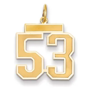 14k Yellow Gold Satin Brush Finish Medium Size Number 53 Charm Pendant