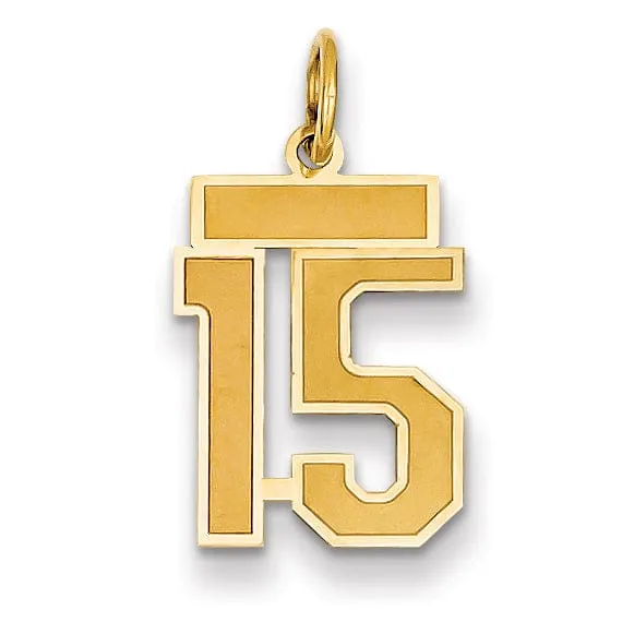 14k Yellow Gold Satin Brush Finish Small Size Number 15 Charm Pendant