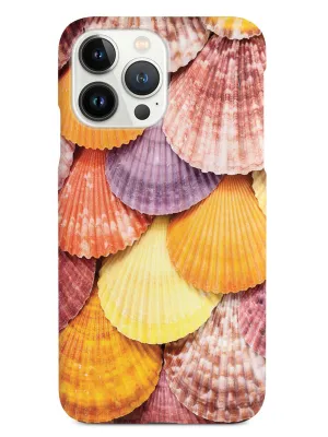 Colorful Seashells Case