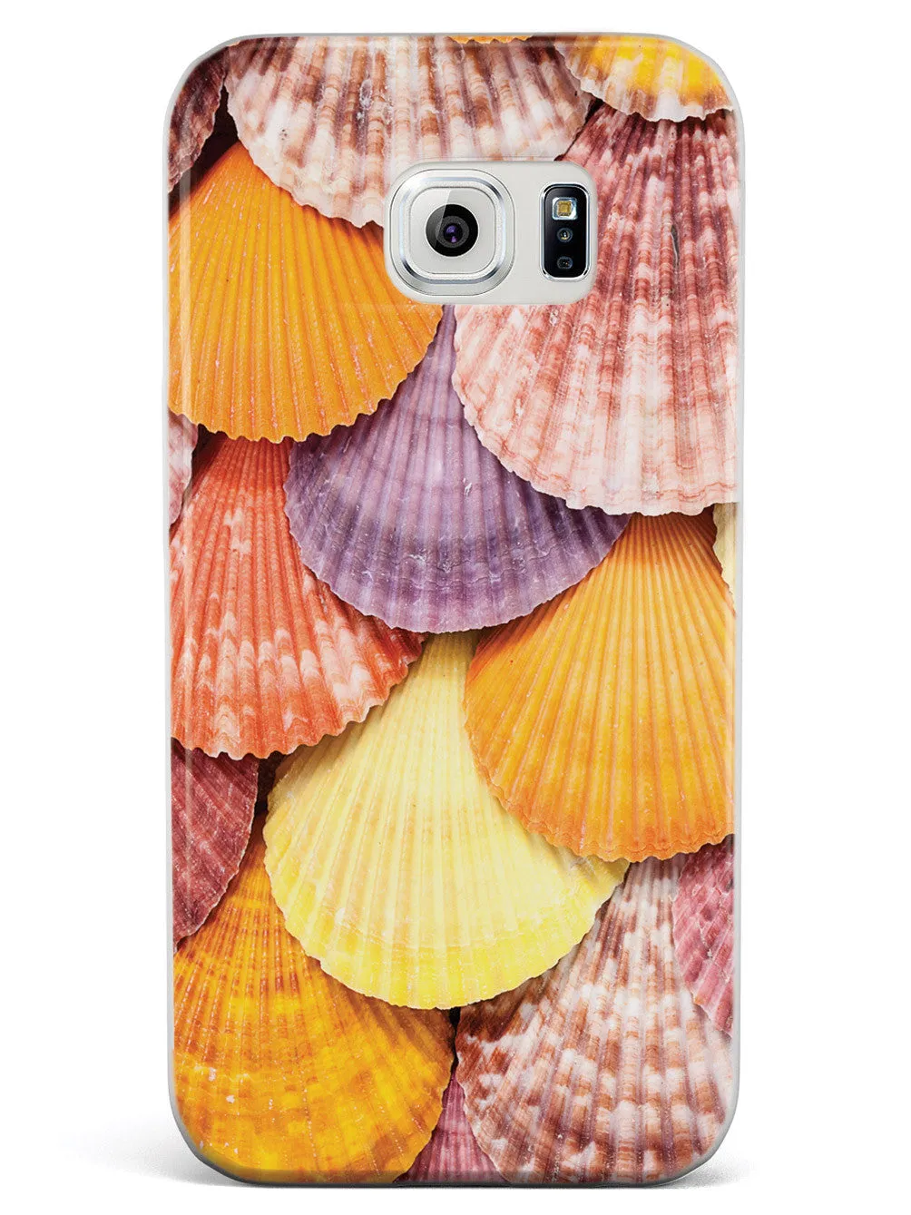 Colorful Seashells Case