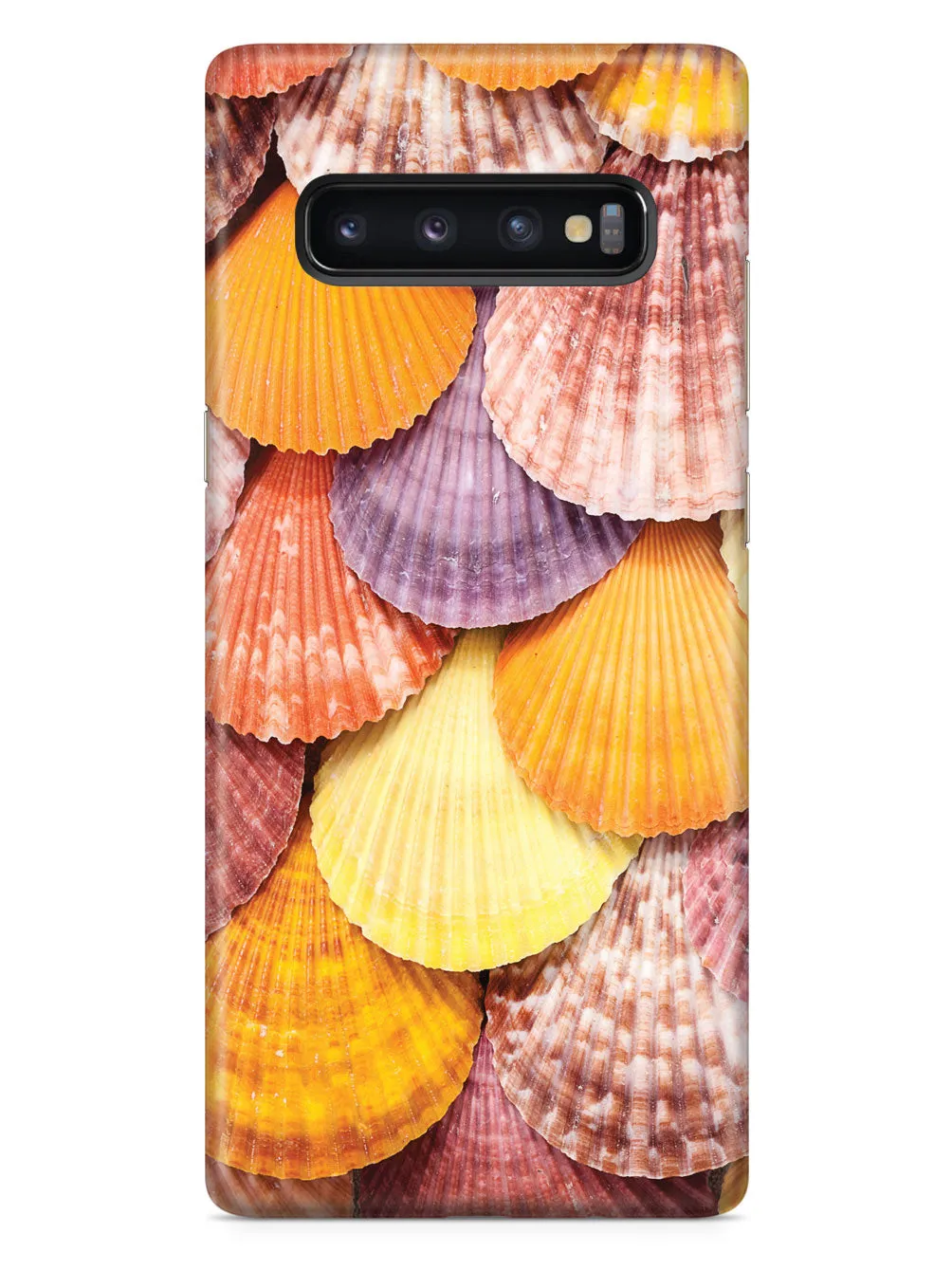 Colorful Seashells Case