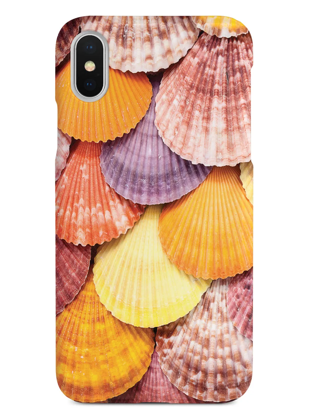 Colorful Seashells Case