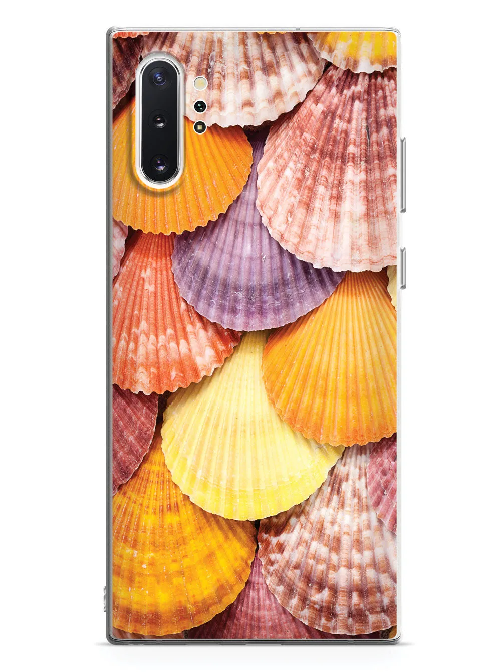 Colorful Seashells Case