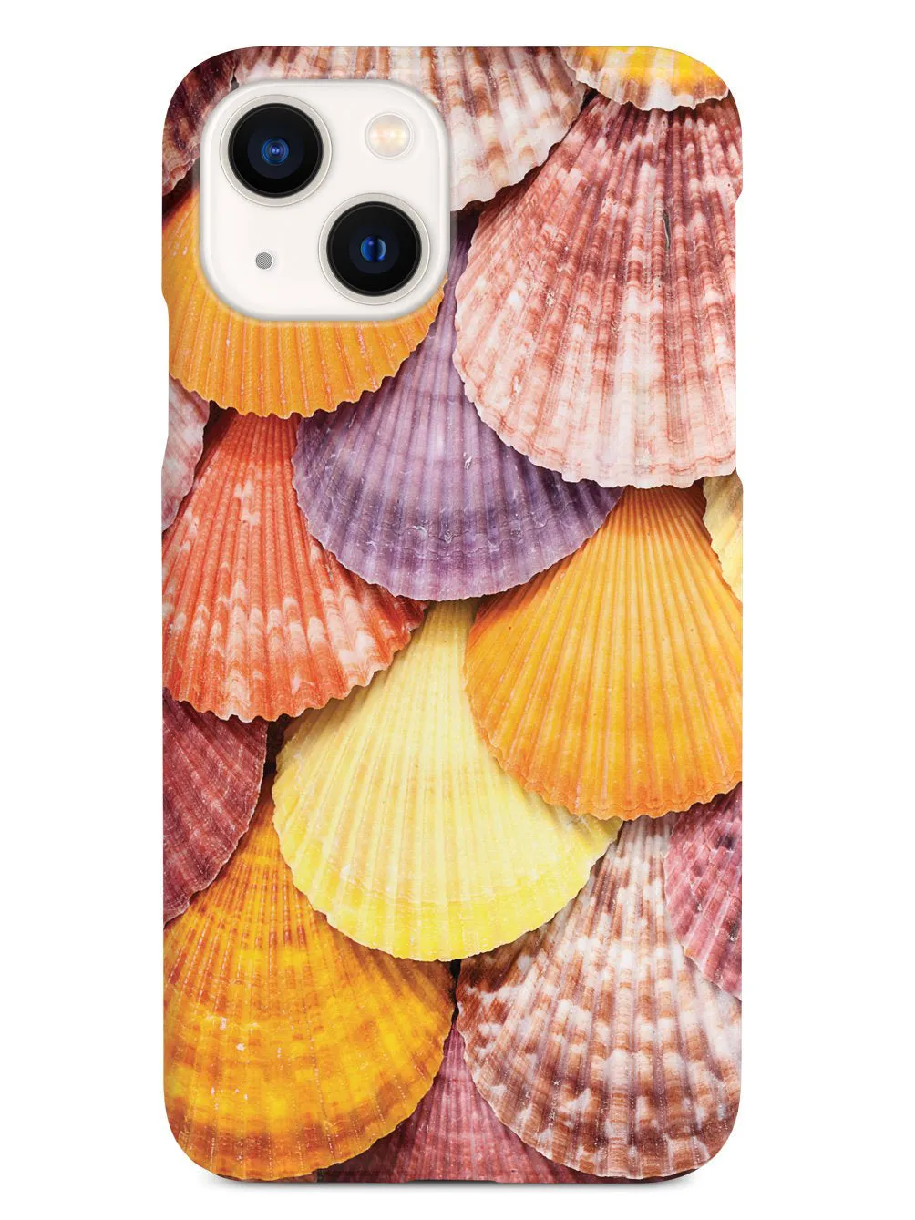 Colorful Seashells Case