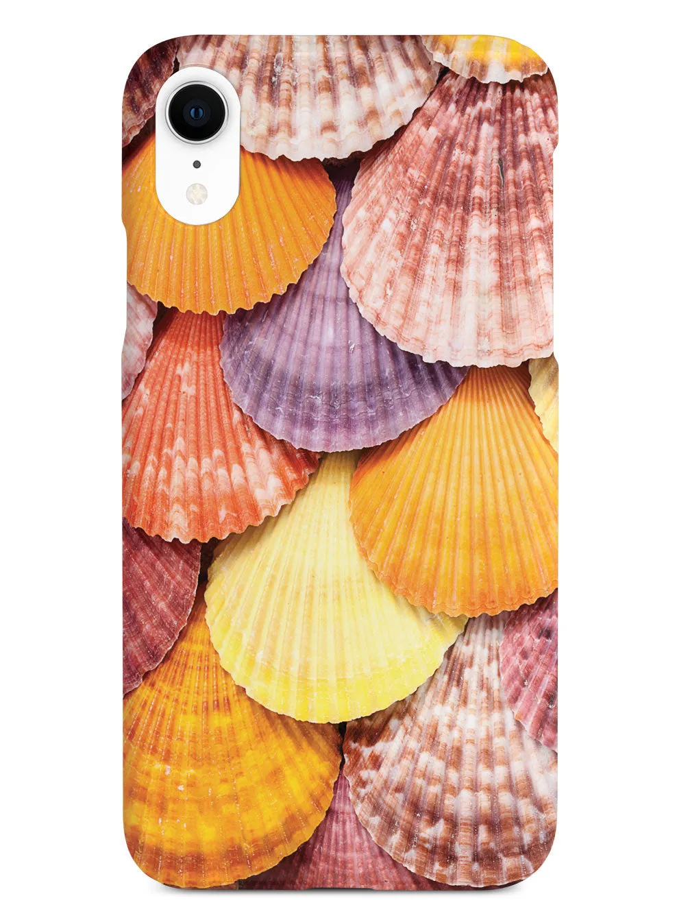 Colorful Seashells Case