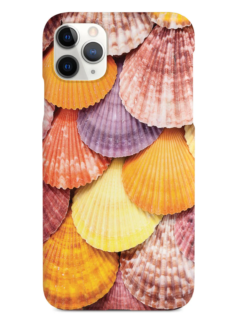 Colorful Seashells Case