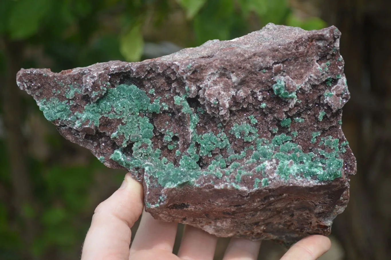 Natural Ball Malachite On Red Dolomite Matrix Specimen x 1 From Likasi, Congo