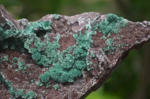 Natural Ball Malachite On Red Dolomite Matrix Specimen x 1 From Likasi, Congo