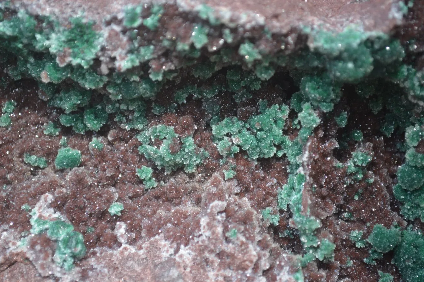 Natural Ball Malachite On Red Dolomite Matrix Specimen x 1 From Likasi, Congo