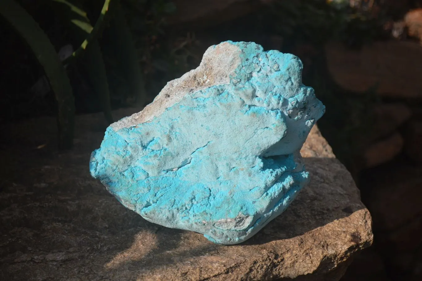 Natural Botryoidal Chrysocolla Specimens x 1 From Kulukuluku, Congo