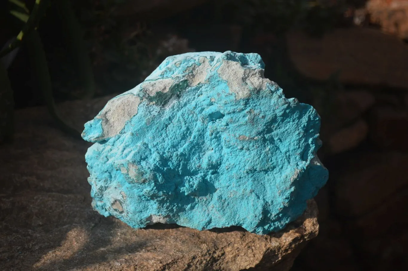 Natural Botryoidal Chrysocolla Specimens x 1 From Kulukuluku, Congo