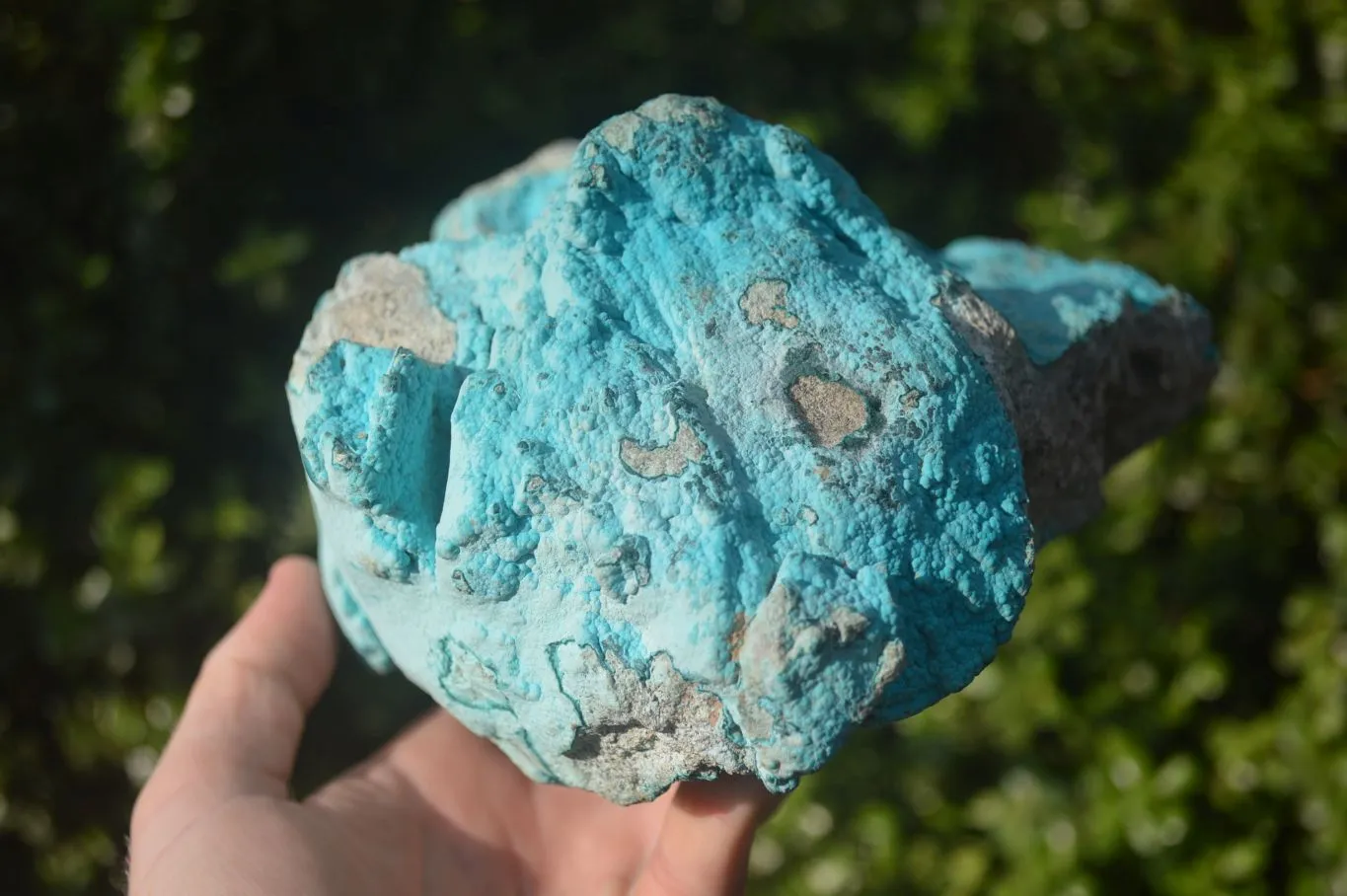 Natural Botryoidal Chrysocolla Specimens x 1 From Kulukuluku, Congo