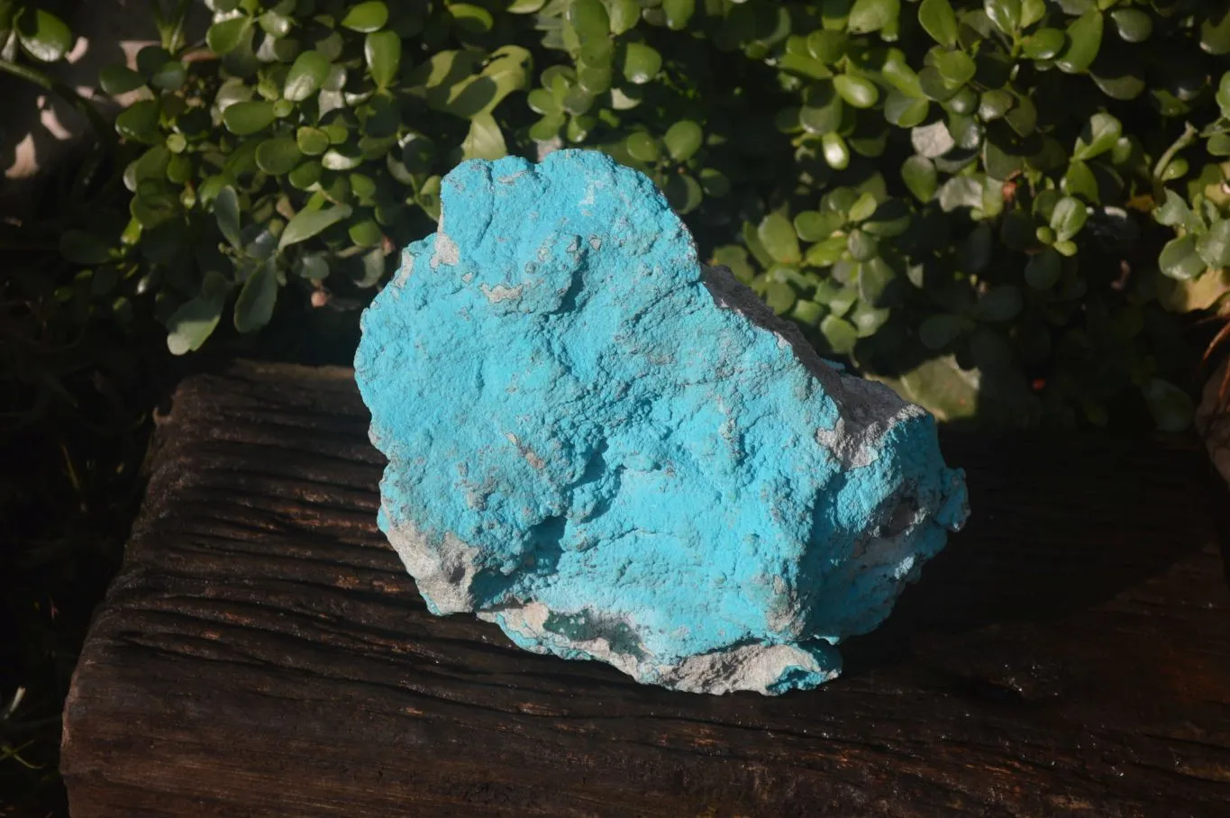 Natural Botryoidal Chrysocolla Specimens x 1 From Kulukuluku, Congo