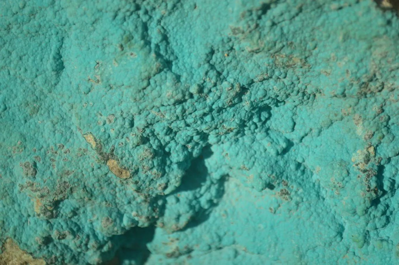 Natural Botryoidal Chrysocolla Specimens x 1 From Kulukuluku, Congo