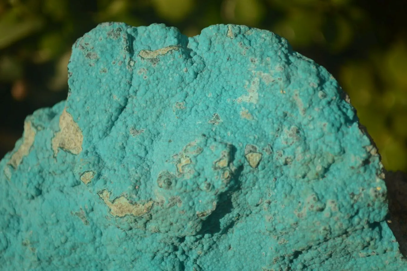 Natural Botryoidal Chrysocolla Specimens x 1 From Kulukuluku, Congo