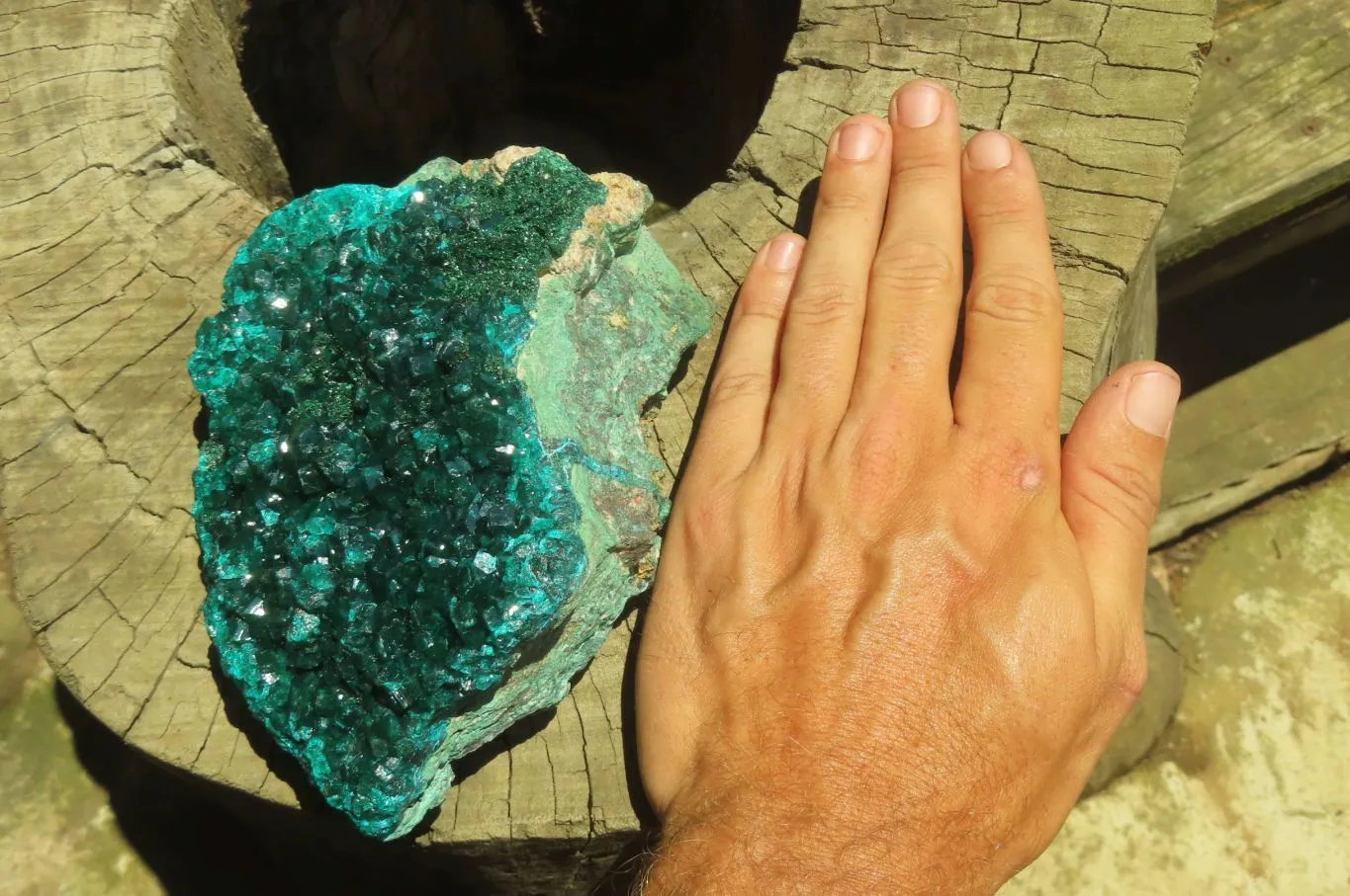 Natural Dioptase Cabinet Specimen x 1 From Reneville Brazzaville, Congo