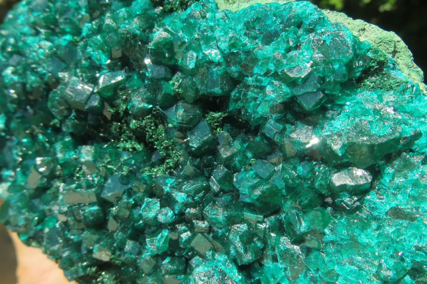 Natural Dioptase Cabinet Specimen x 1 From Reneville Brazzaville, Congo