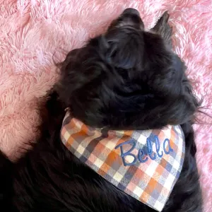 Pinks and Reds Personalized Flannel Dog Scarf with Name Embroidered