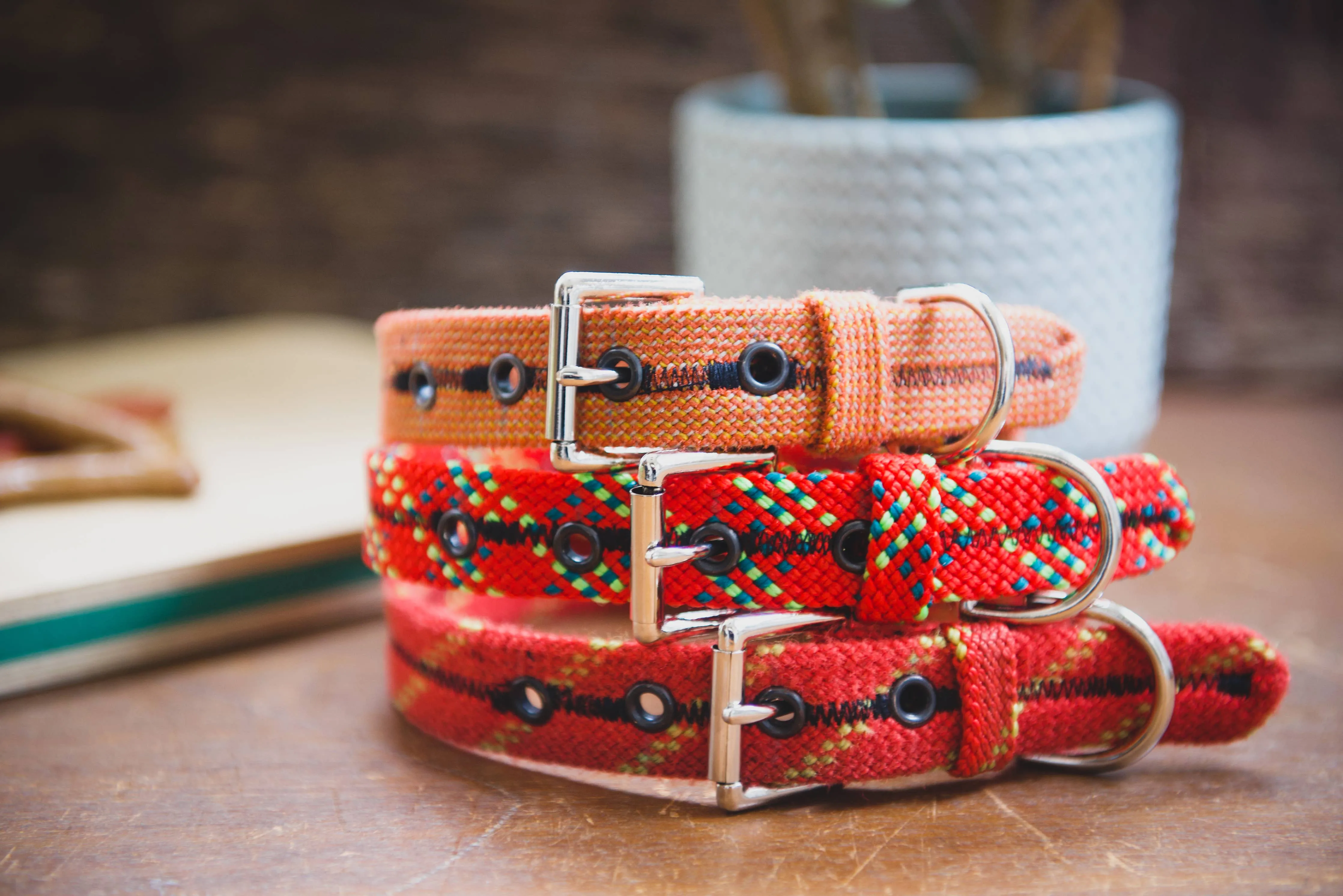 Unique Vibrant Recycled Dog Collar