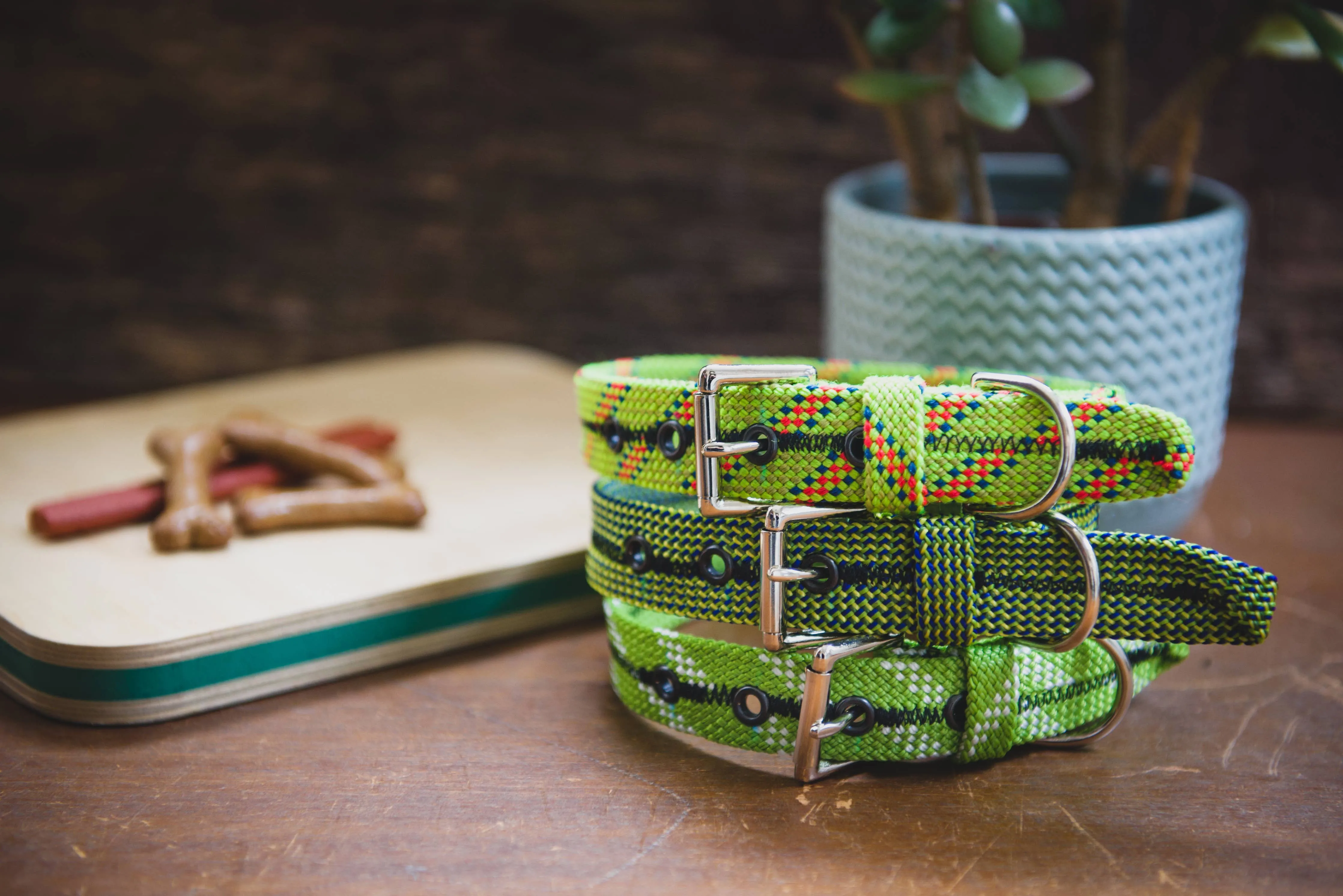 Unique Vibrant Recycled Dog Collar