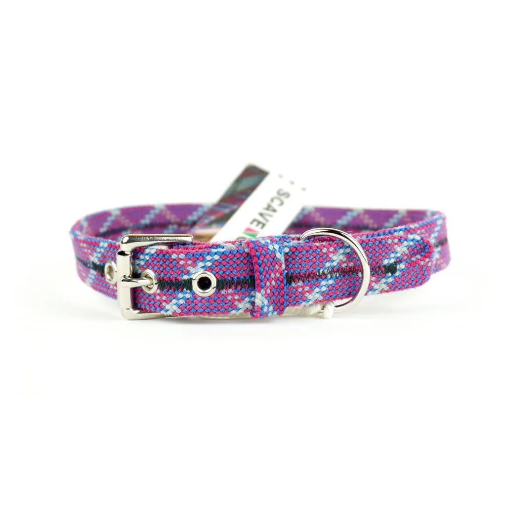 Unique Vibrant Recycled Dog Collar