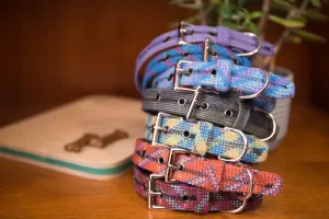 Unique Vibrant Recycled Dog Collar