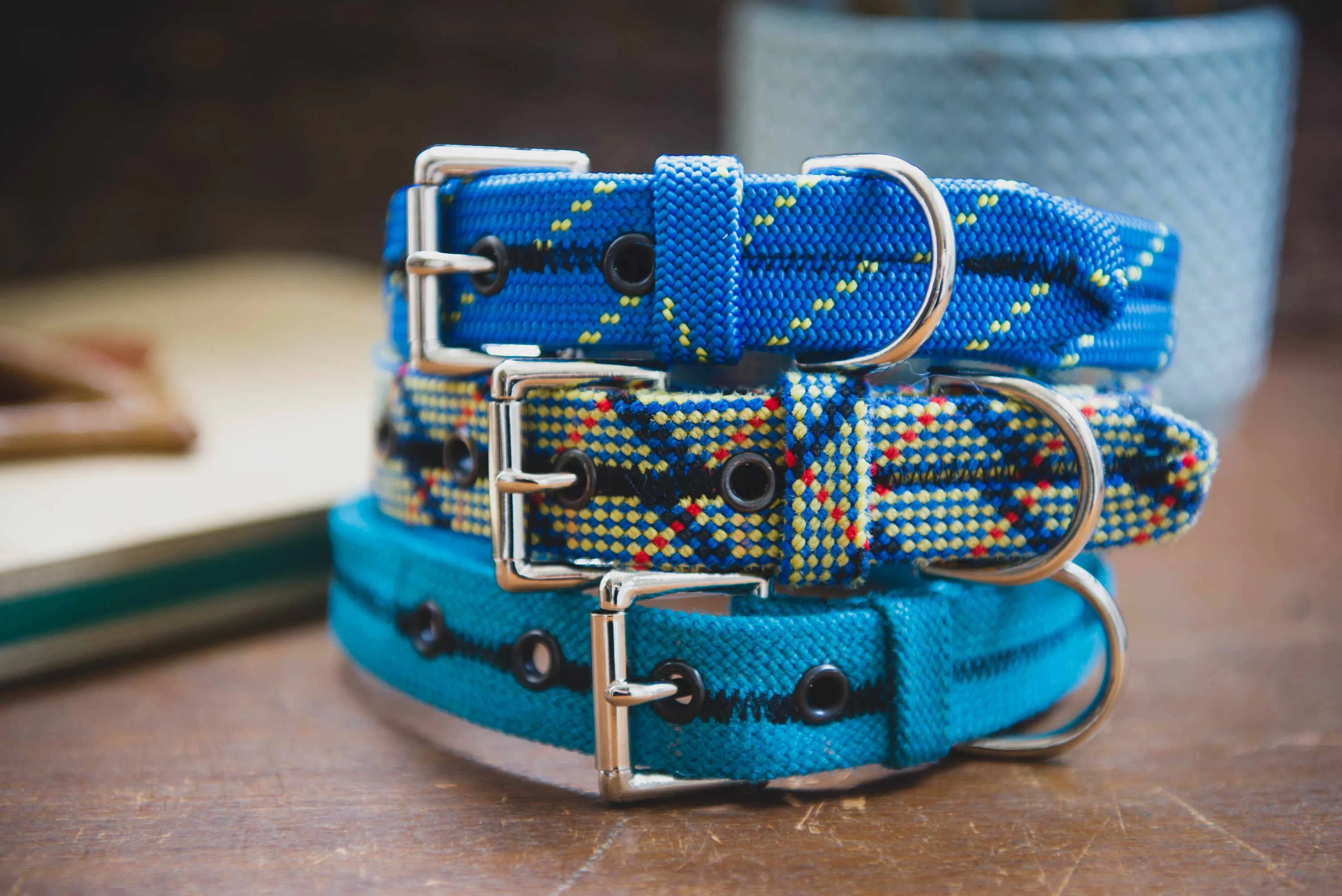 Unique Vibrant Recycled Dog Collar