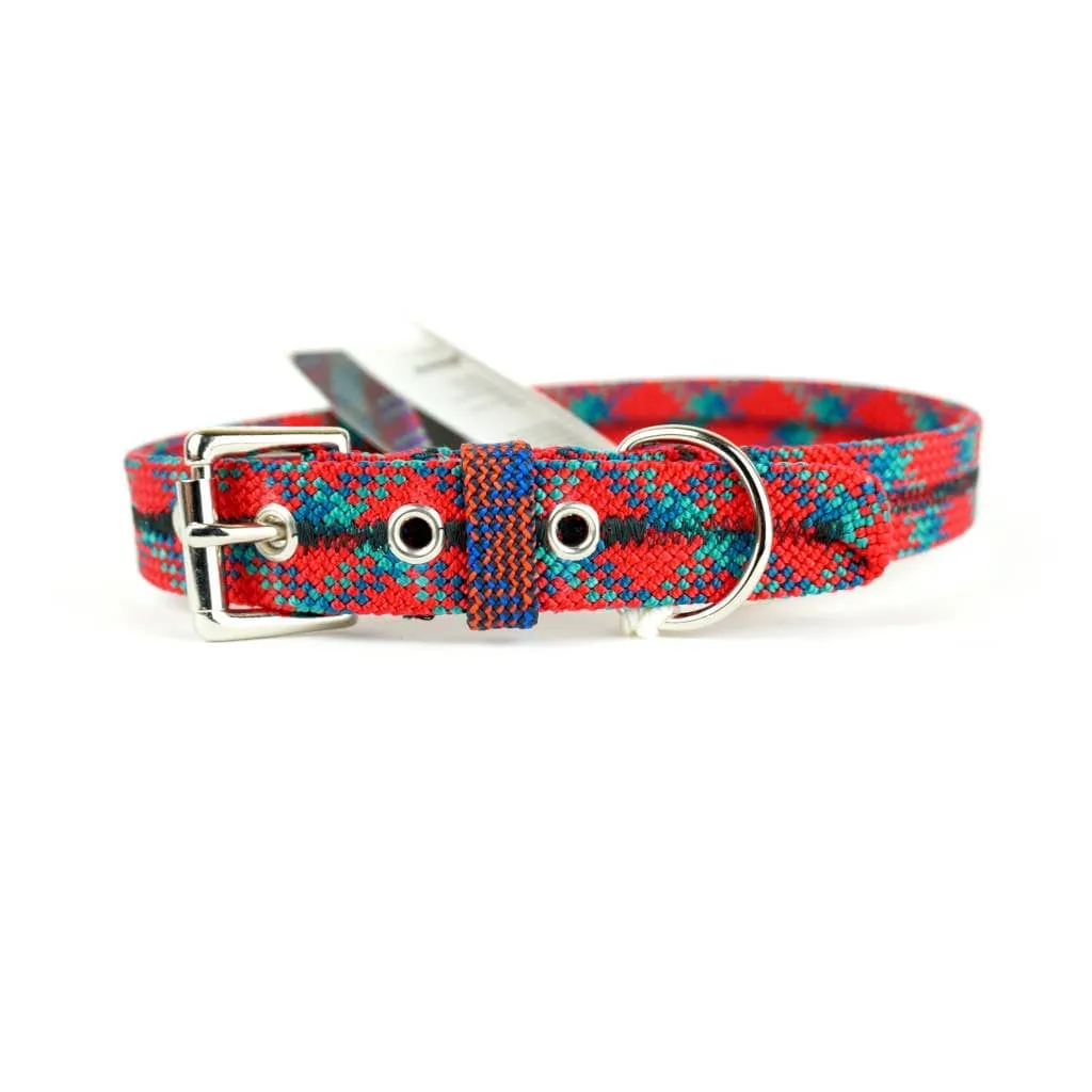 Unique Vibrant Recycled Dog Collar