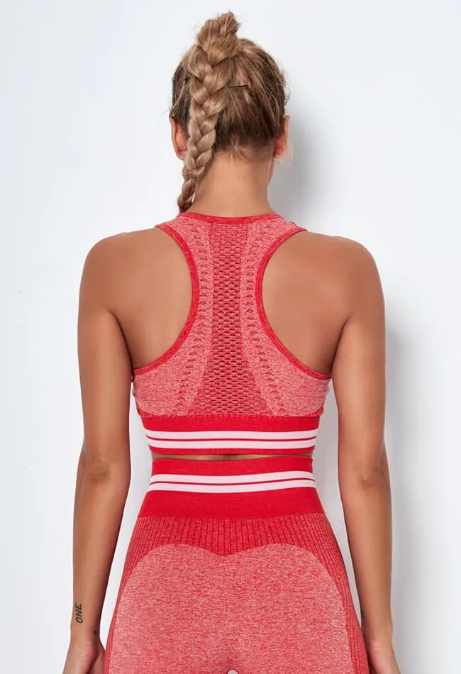 Vibrant Seamless Sports Bra
